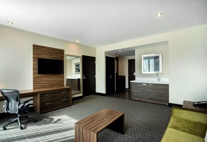 هتل Hilton Garden Inn Aguascalientes