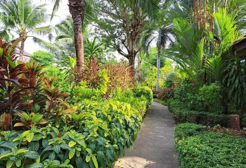 Jasmin Resort   Sha Plus