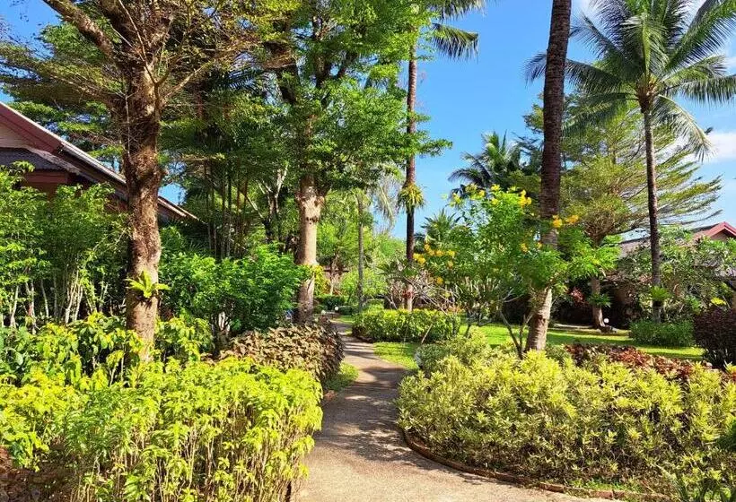 Jasmin Resort   Sha Plus
