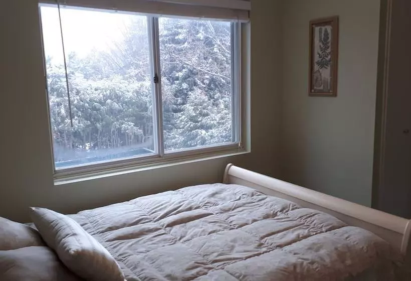 Bed and Breakfast Patricia S Place