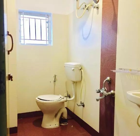 Transit Dorms   A Backpackers Inn & Hostel