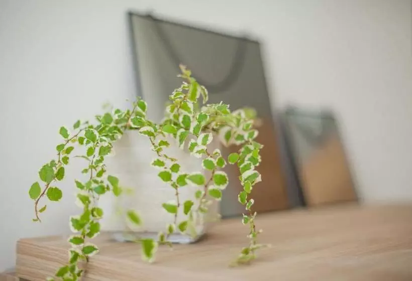 Hôtel Résidence Estelle Appart Hôtel