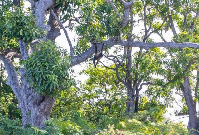 هاستل Socialtel Granada Formerly Selina Granada