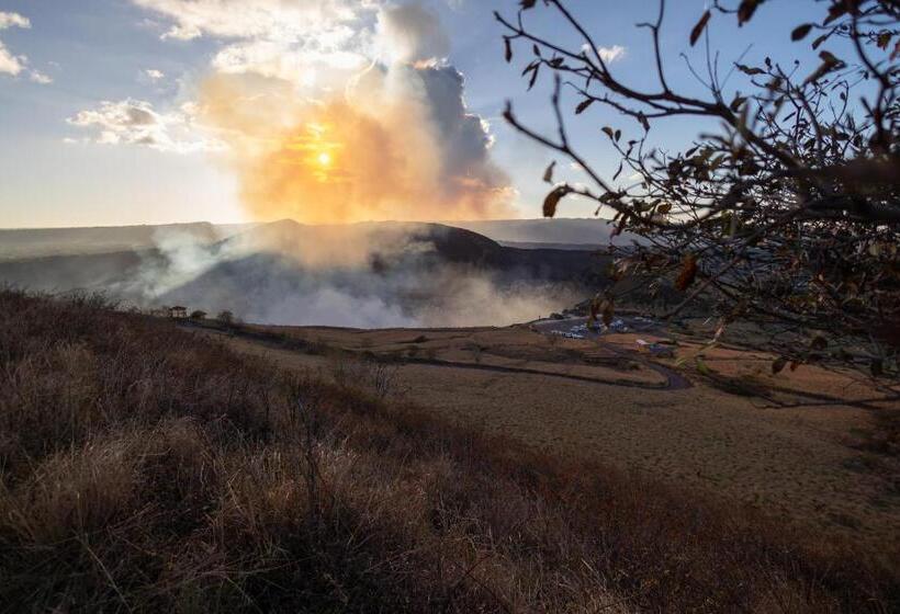 هاستل Socialtel Granada Formerly Selina Granada