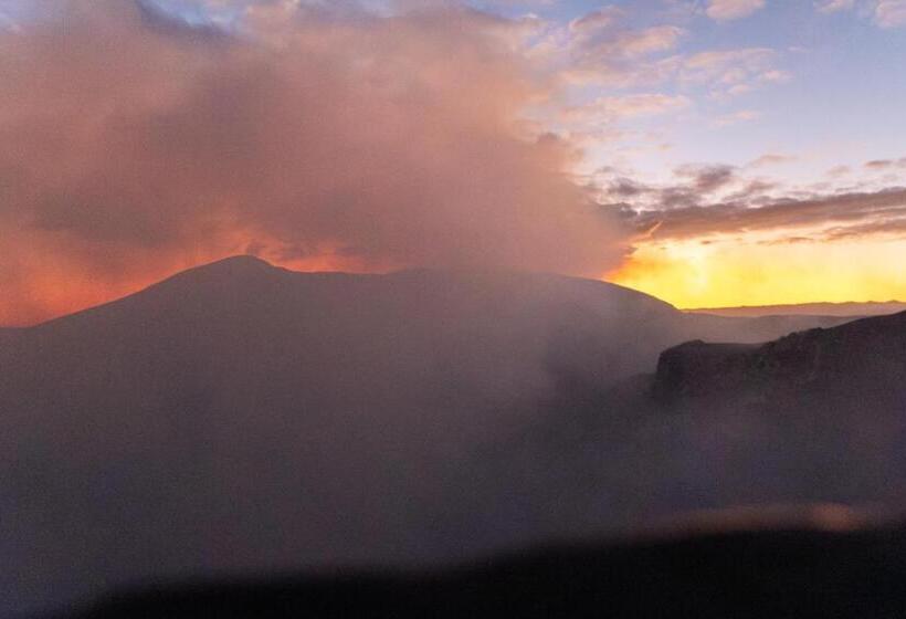 هاستل Socialtel Granada Formerly Selina Granada