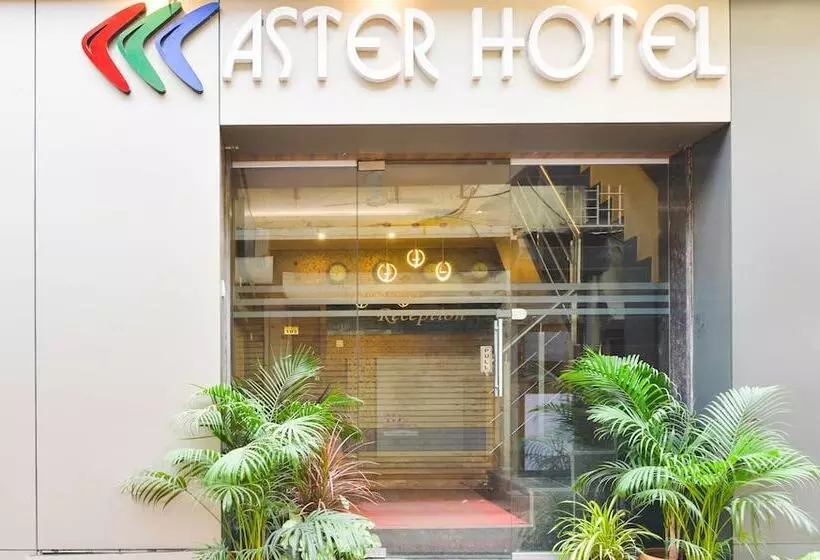 ホテル Treebo Aster