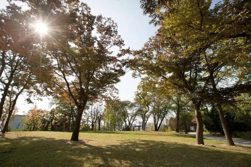 ホテル Western Grace