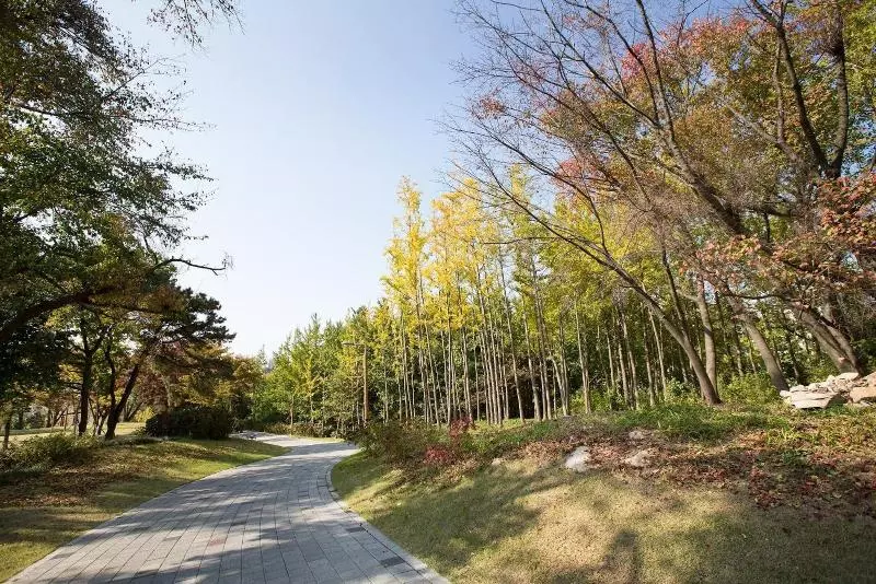 ホテル Western Grace