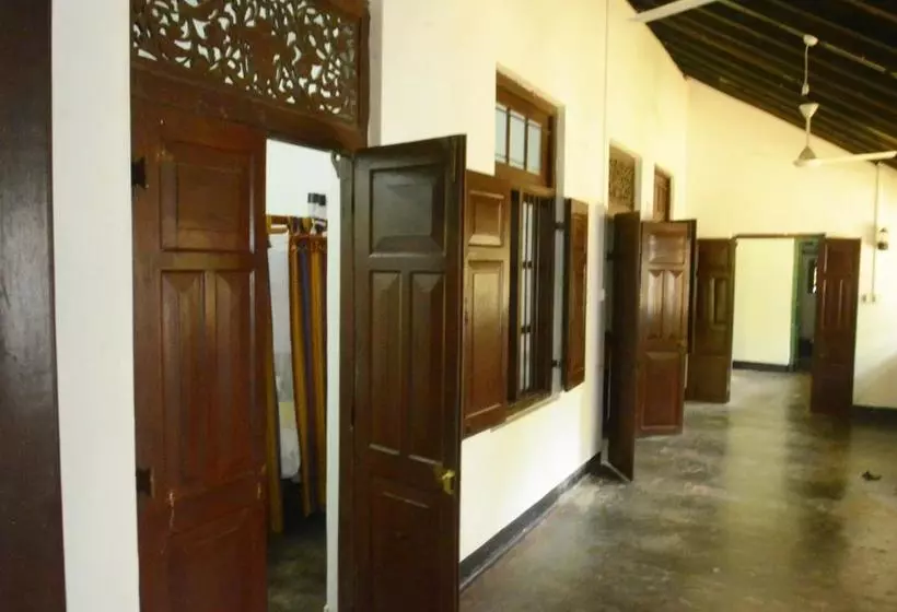Fig And Gecko Hostel