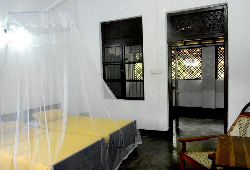 Fig And Gecko Hostel