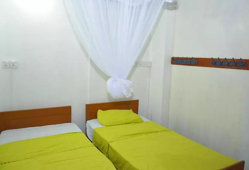 Fig And Gecko Hostel