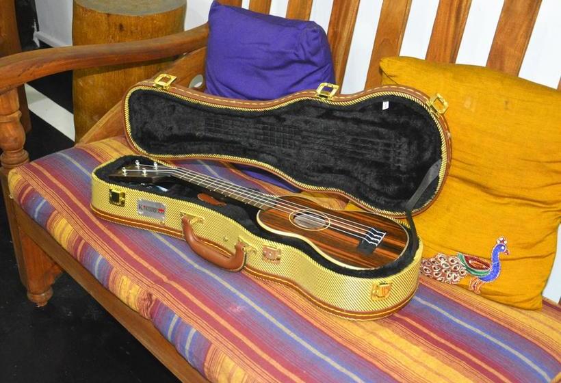 Fig And Gecko Hostel