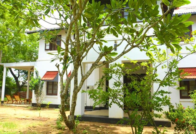 Fig And Gecko Hostel