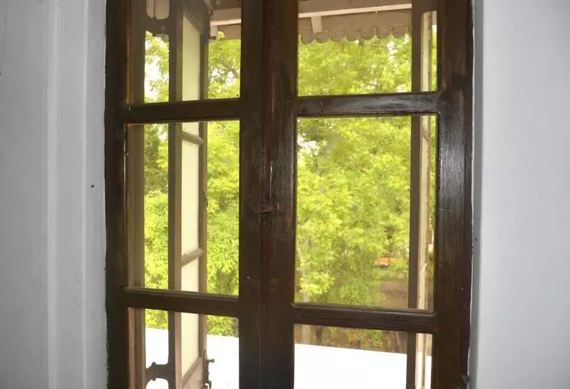 Fig And Gecko Hostel