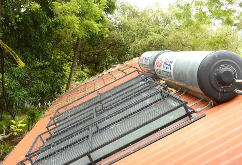 Fig And Gecko Hostel