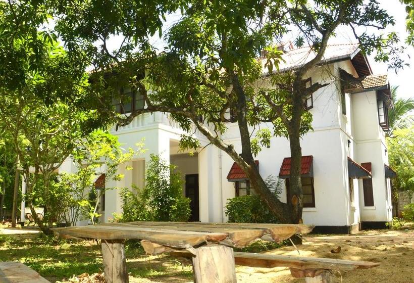 Fig And Gecko Hostel