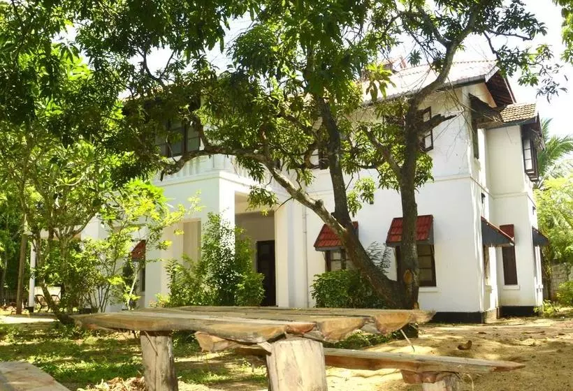 Fig And Gecko Hostel