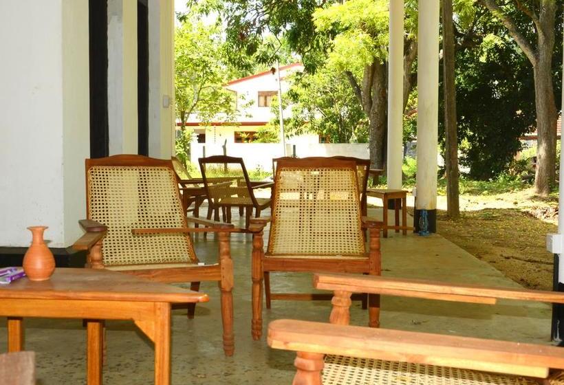 Fig And Gecko Hostel