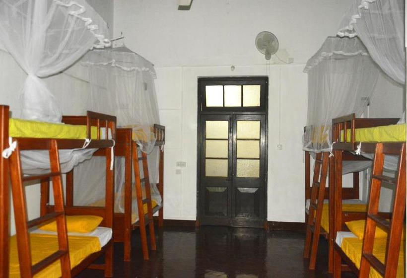 Fig And Gecko Hostel