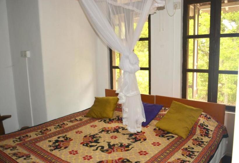 Fig And Gecko Hostel