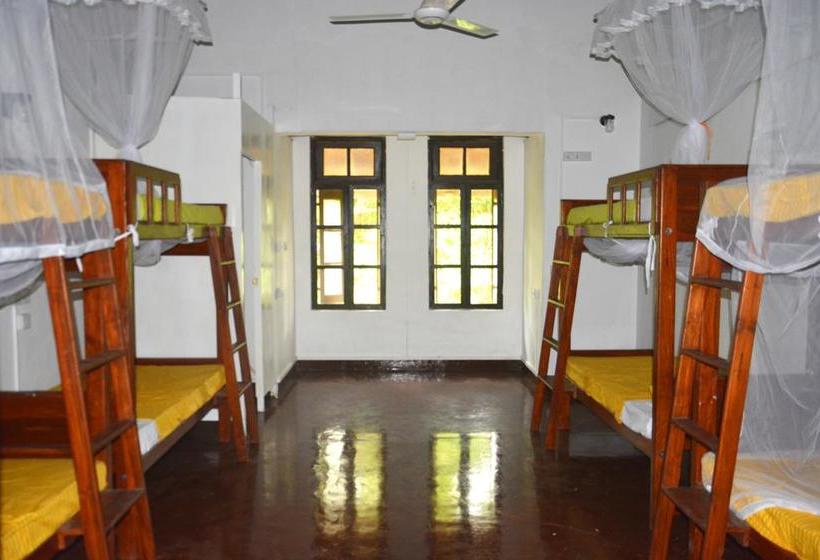 Fig And Gecko Hostel