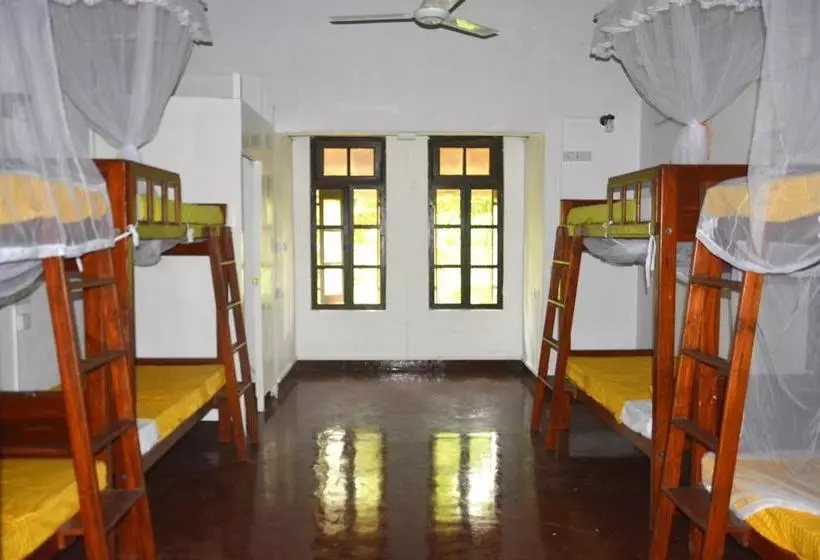 Fig And Gecko Hostel