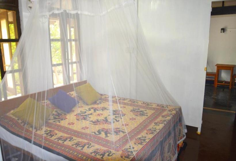 Fig And Gecko Hostel