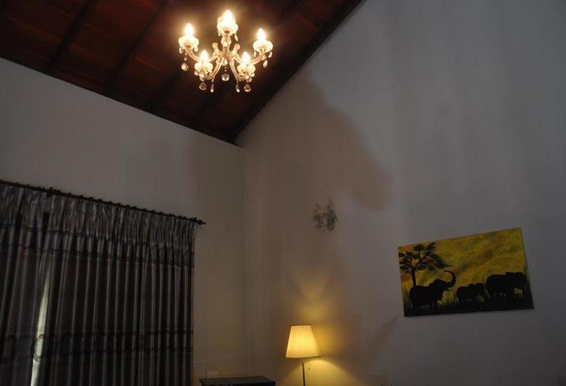 Отель Belga Boutique