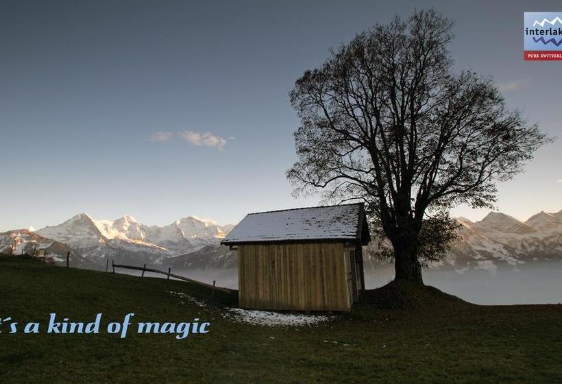 Down Town Hostel Interlaken