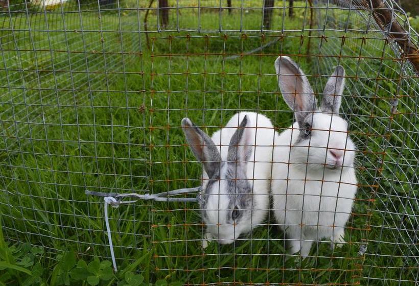 Hotel Fitness De Royale Organic County