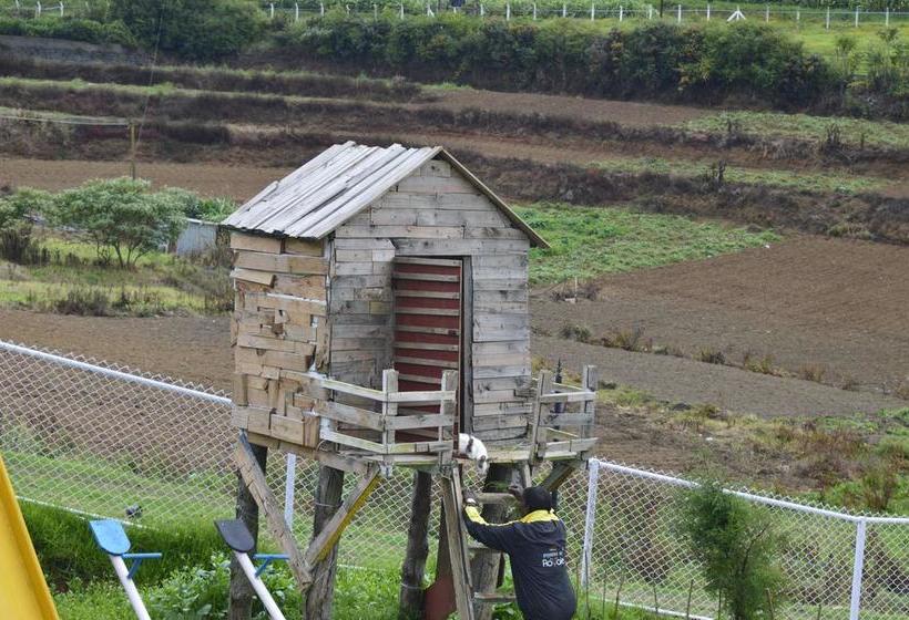 Hotel Fitness De Royale Organic County