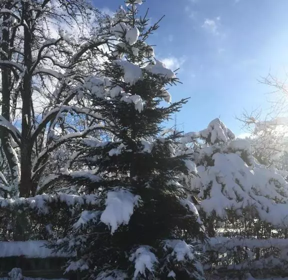 ベッドアンドブレックファースト Chalet L'aiglon