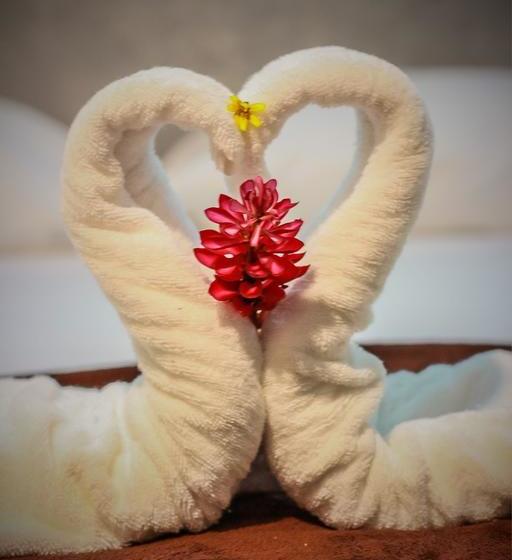 مبيت وإفطار Tamarindo Inn