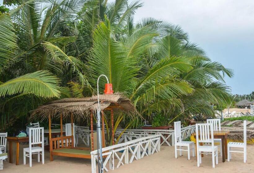 هتل Blue Horizon Beach