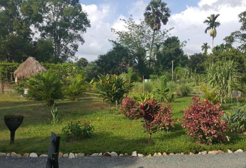 فندق Gecko Village