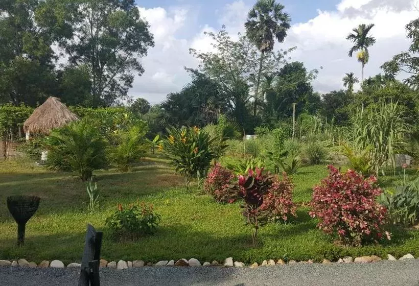 هتل Gecko Village