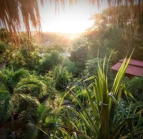 فندق Posada Olivo