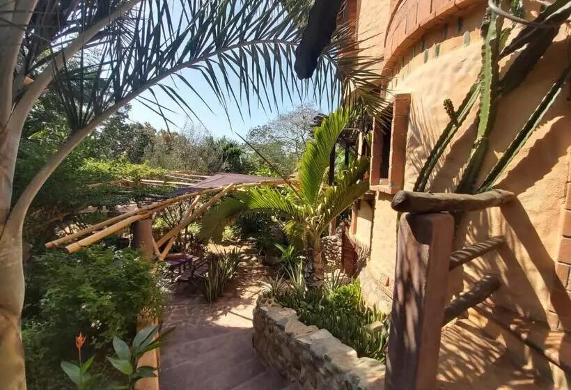 ホテル Posada Olivo