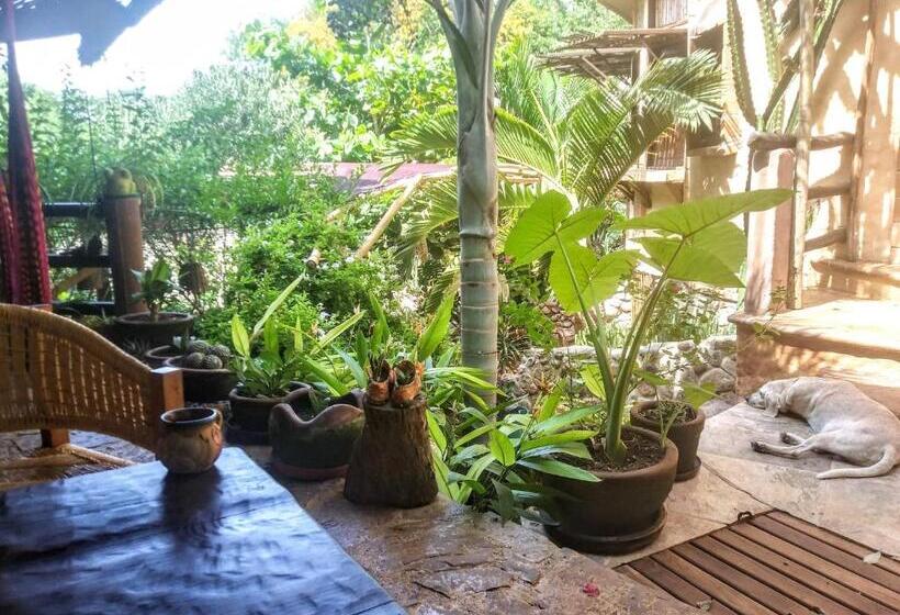 فندق Posada Olivo