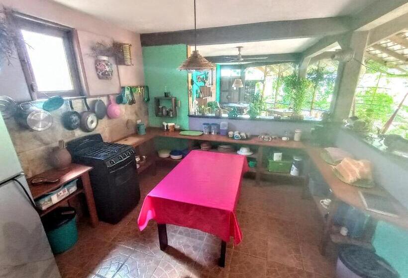 فندق Posada Olivo