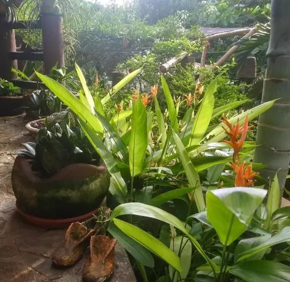 ホテル Posada Olivo