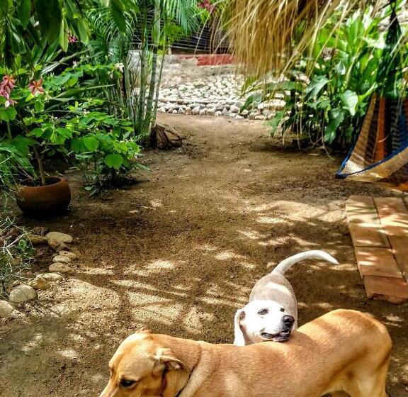 فندق Posada Olivo