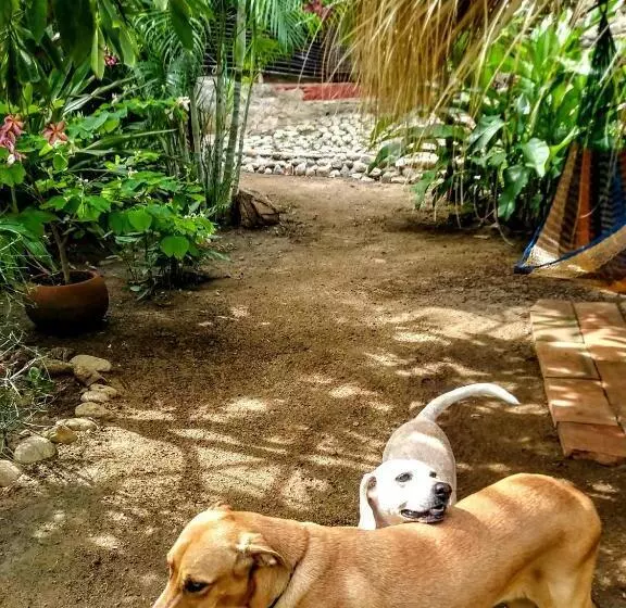 ホテル Posada Olivo