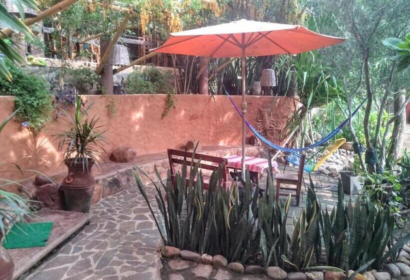 فندق Posada Olivo