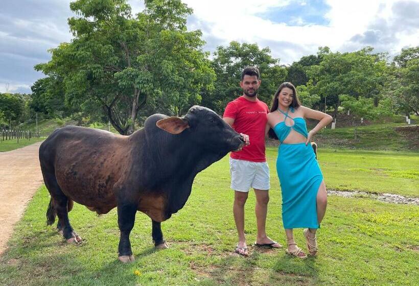 Tijota Hotel Fazenda