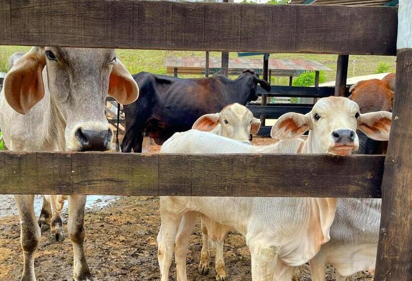 Tijota Hotel Fazenda