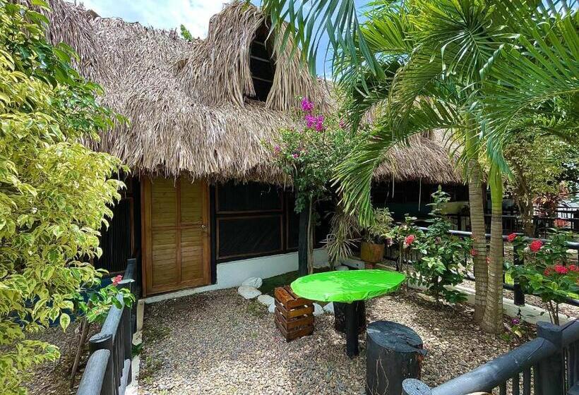 هاستل Bikini Hotel & Pool