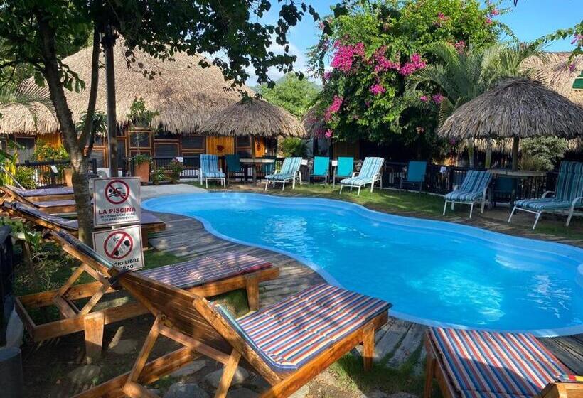 هاستل Bikini Hotel & Pool