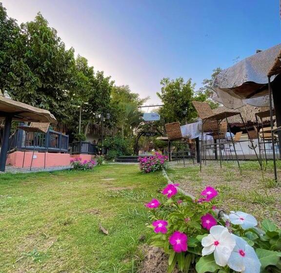 هاستل Bikini Hotel & Pool