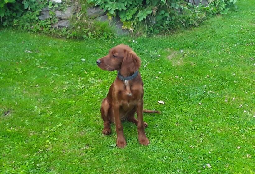 هتل Le Chanteraine